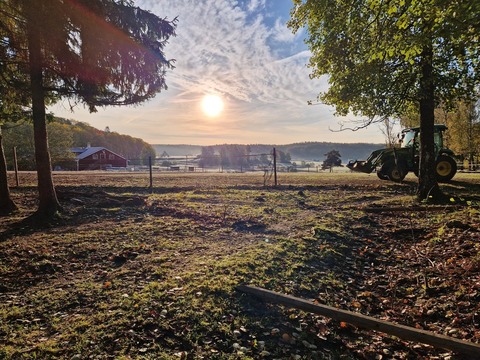 Md anm lggningen h st 2023 