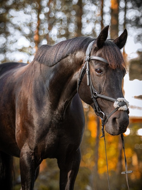 Md 579594166 18431755411107547 1516163516565160980 n