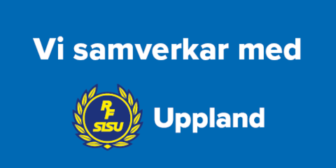 Md rektangel250x125 bla 