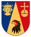 Stockholmskampen logo