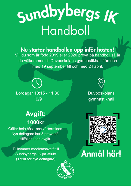 Handbollsskolan bild