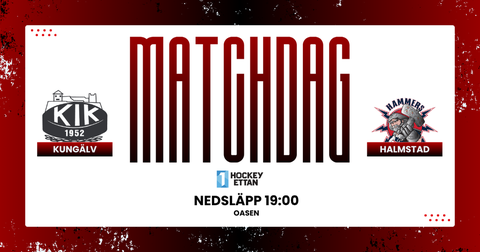 Md matchdag  6 