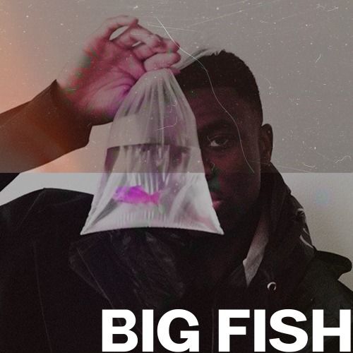 Buy EDM Ghost Production track - Big Fish