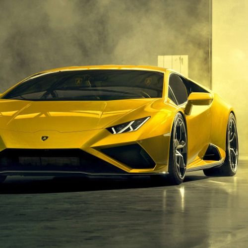 Buy EDM Ghost Production track - Chicken Nuts