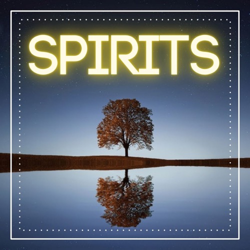 Buy EDM Ghost Production track - SPIRITS