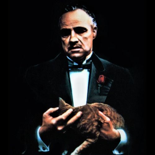 Buy EDM Ghost Production track - MAFIA