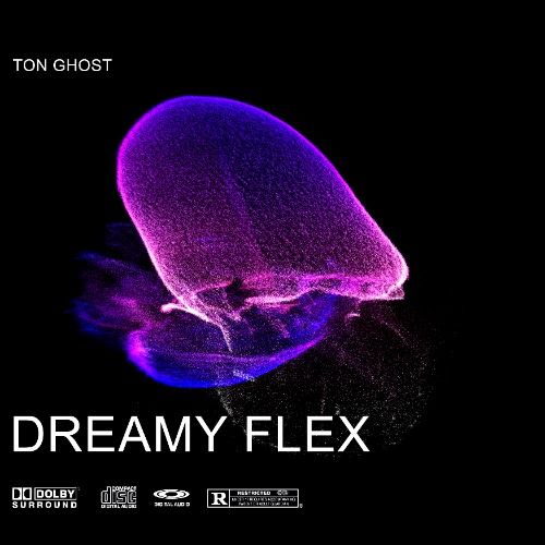 Buy EDM Ghost Production track - Dreamy Flex