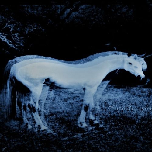 Buy EDM Ghost Production track - Unicorn