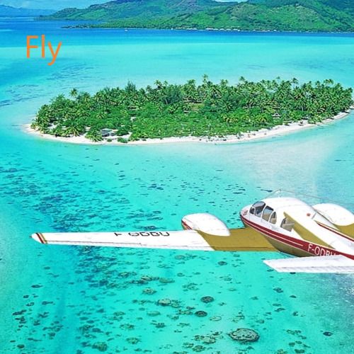 Buy EDM Ghost Production track - Fly