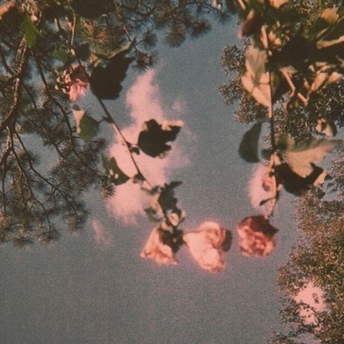 Buy EDM Ghost Production track - Carti