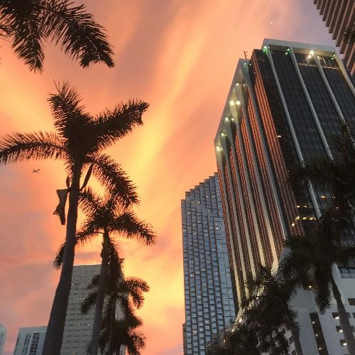 Buy EDM Ghost Production track - Miami Beach