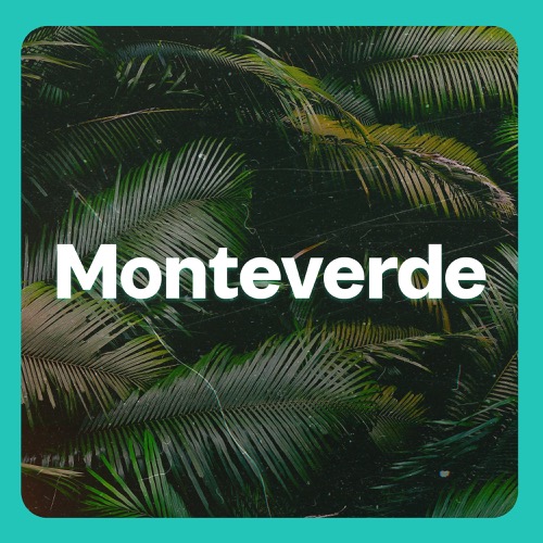 Buy EDM Ghost Production track - Monteverde