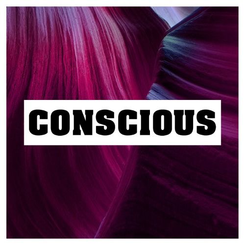 Buy EDM Ghost Production track - Conscious