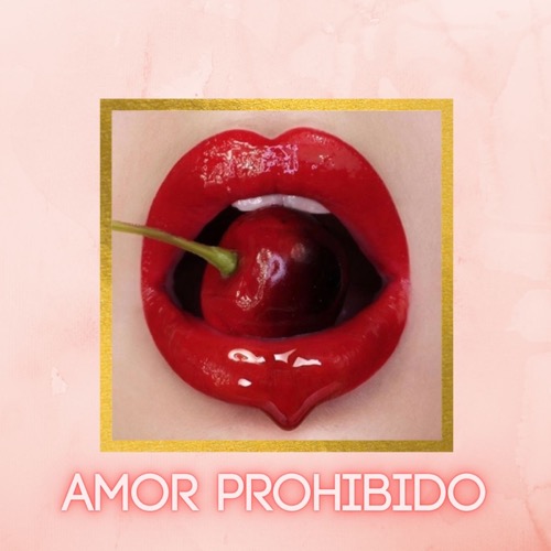 Buy EDM Ghost Production track - Amor Prohibido