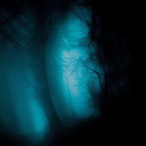 Buy EDM Ghost Production track - Dark Forest