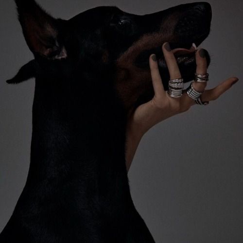 Buy EDM Ghost Production track - Story Teller