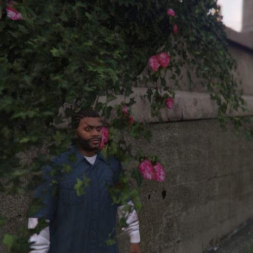 Buy EDM Ghost Production track - WDYW