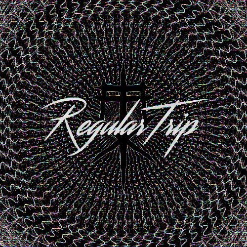 Buy EDM Ghost Production track - Regular Trip