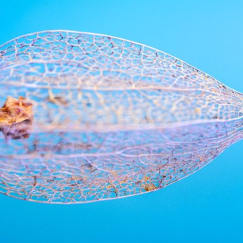 Buy EDM Ghost Production track - Under Rain