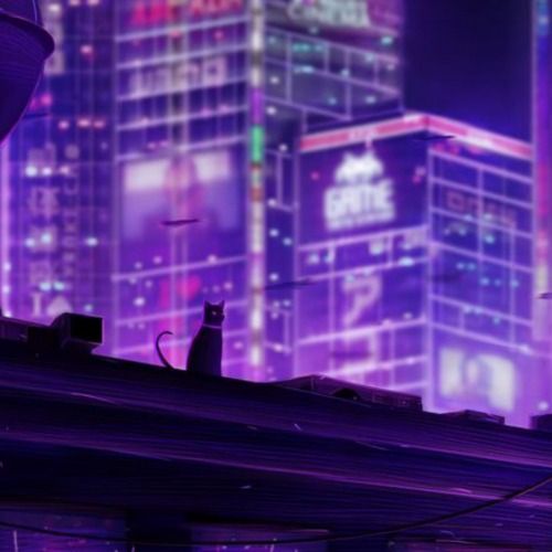 Buy EDM Ghost Production track - Fresh Lo-Fi