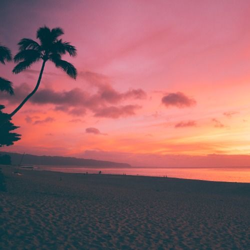 Buy EDM Ghost Production track - Last Sunshine