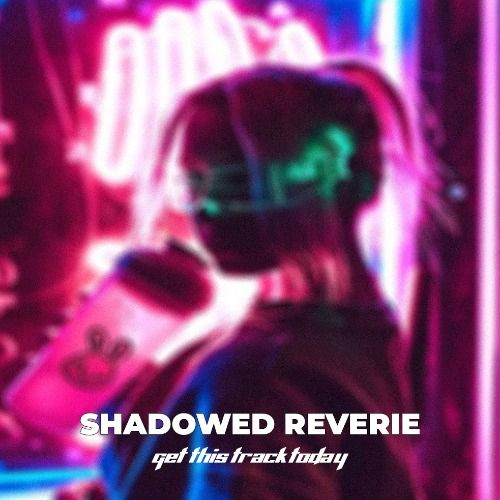 Buy EDM Ghost Production track - Shadowed Reverie