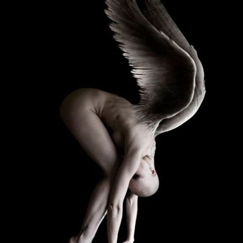 Buy EDM Ghost Production track - Falling Angel