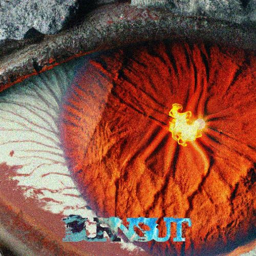 Buy EDM Ghost Production track - Burnout