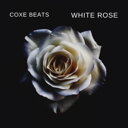 Buy EDM Ghost Production track - White rose 2.0