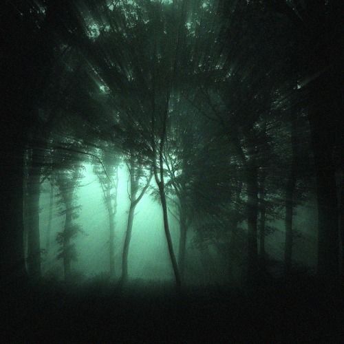 Buy EDM Ghost Production track - Forest