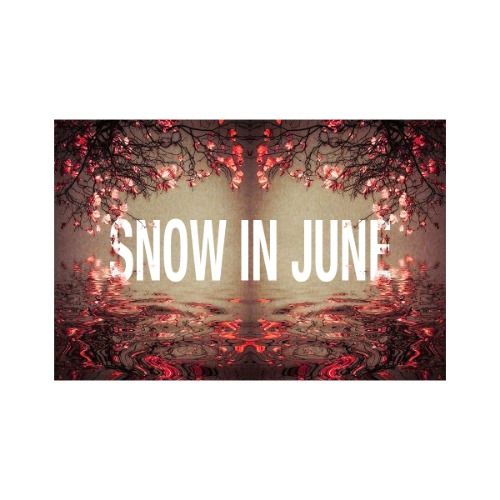 Buy EDM Ghost Production track - Snow In June