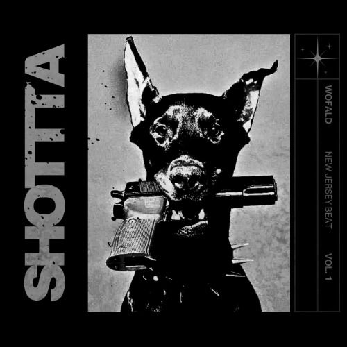 Buy EDM Ghost Production track - Shotta