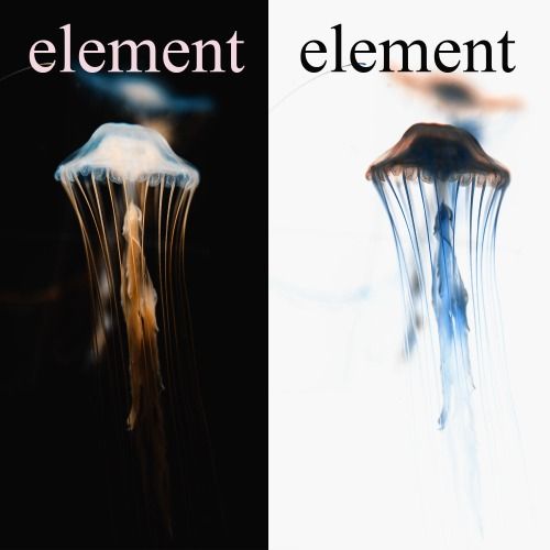 Buy EDM Ghost Production track - element