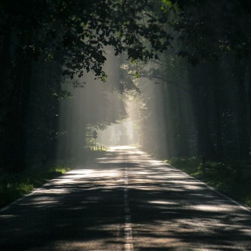 Buy EDM Ghost Production track - no sleep