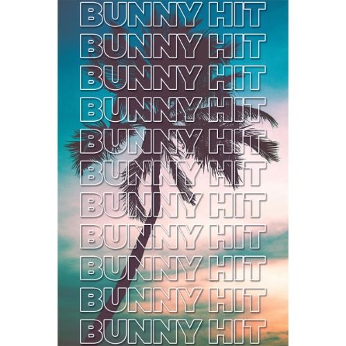 Buy EDM Ghost Production track - Bunny Hit