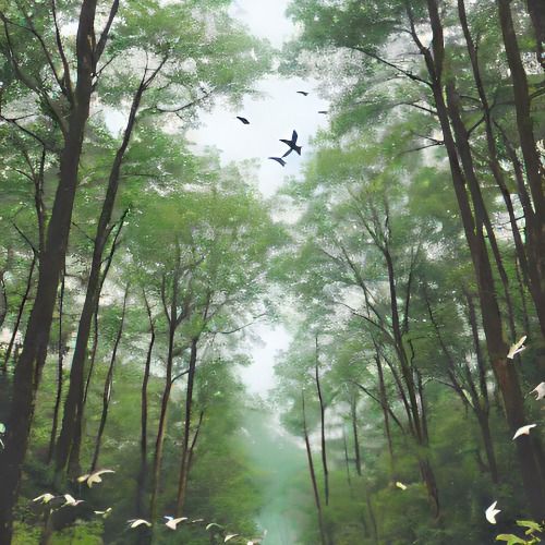 Buy EDM Ghost Production track - Wild Forest