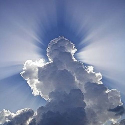 Buy EDM Ghost Production track - Sky