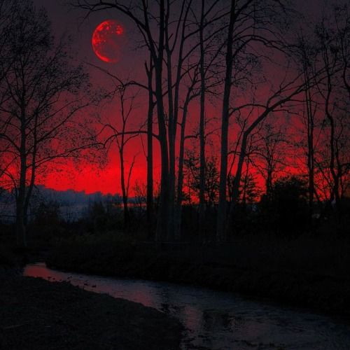 Buy EDM Ghost Production track - Darkness