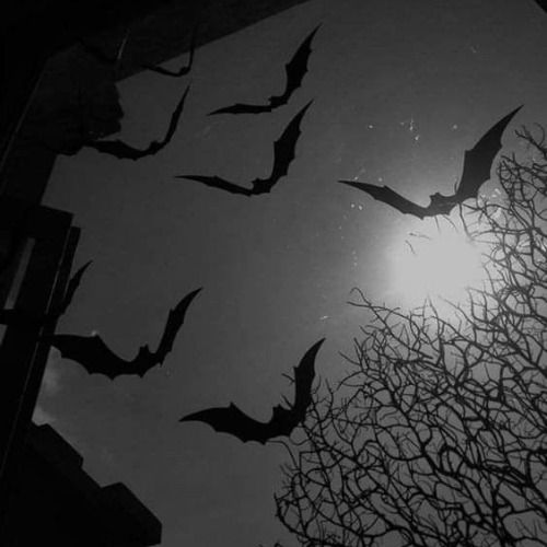 Buy EDM Ghost Production track - Eyes