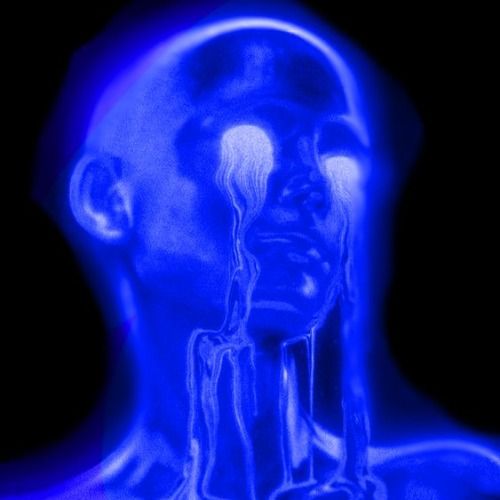 Buy EDM Ghost Production track - Flowers