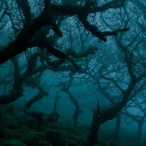 Buy EDM Ghost Production track - Pain