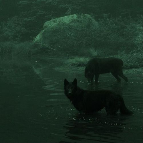 Buy EDM Ghost Production track - The Time Has Come