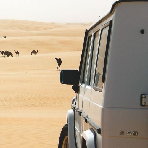 Buy EDM Ghost Production track - Platinum