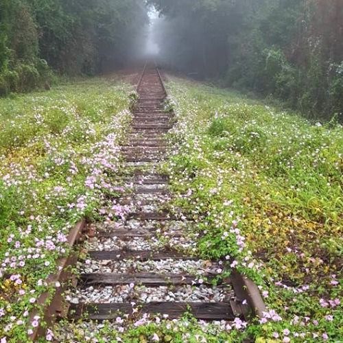 Buy EDM Ghost Production track - Childhood