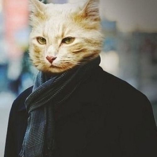 Buy EDM Ghost Production track - Lyric