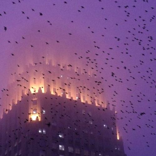 Buy EDM Ghost Production track - Trigger