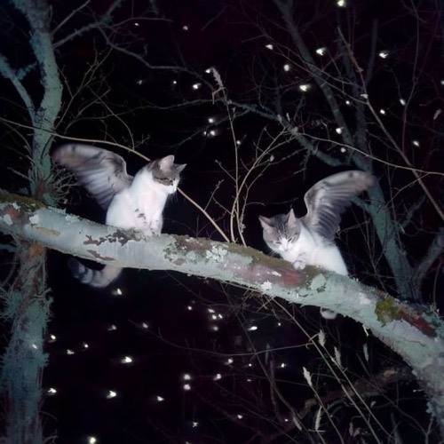 Buy EDM Ghost Production track - Because Of You