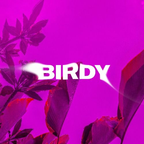 Buy EDM Ghost Production track - Birdy