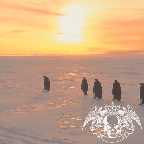 Buy EDM Ghost Production track - Believe