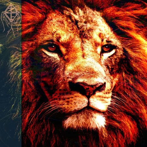 Buy EDM Ghost Production track - Lion